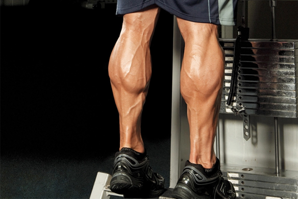 Bắp chân to có cao được không?