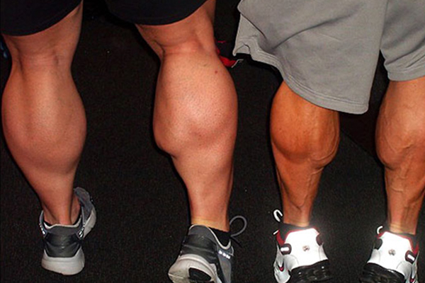 Bắp chân to có cao được không?