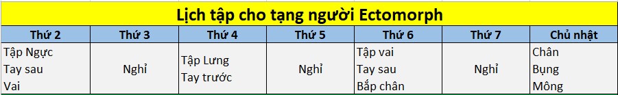lịch tập cho tạng người ectomorph