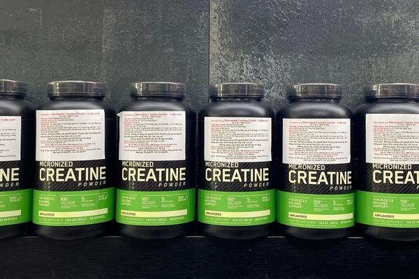 ON Micronized Creatine powder 60 servings