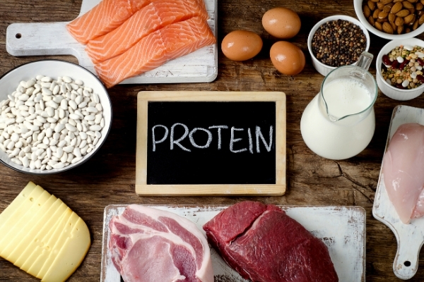 Protein có trong thực phẩm nào