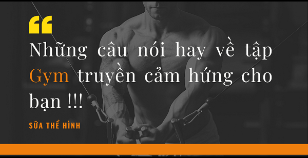 50 nhung cau noi hay ve tap gym hay nhat truyen cam hung cho ban1