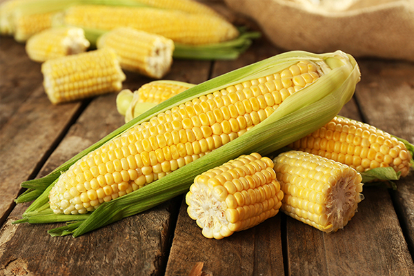 Ăn bắp có béo không