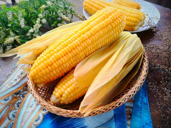 Bắp mỹ bao nhiêu calo