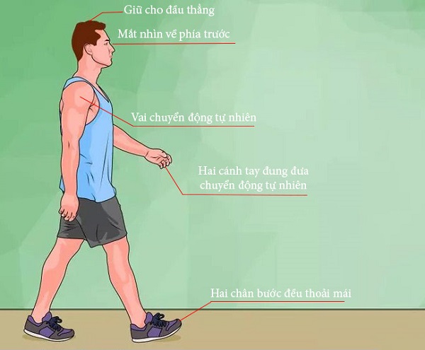 mỗi ngày nên đi bộ bao nhiêu km là hợp lý