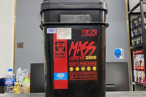 Bá vương tăng cân nhanh