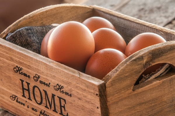 Trứng gà thường được khuyến khích sử dụng