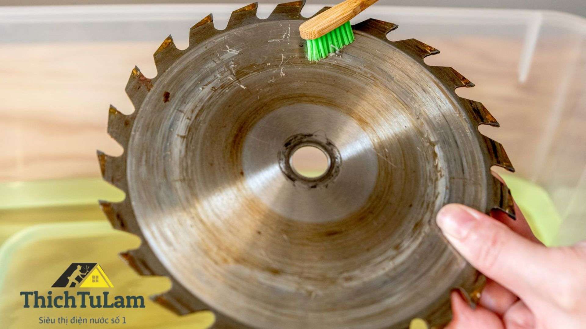 Lưỡi cưa không được vệ sinh và bảo dưỡng thường xuyên