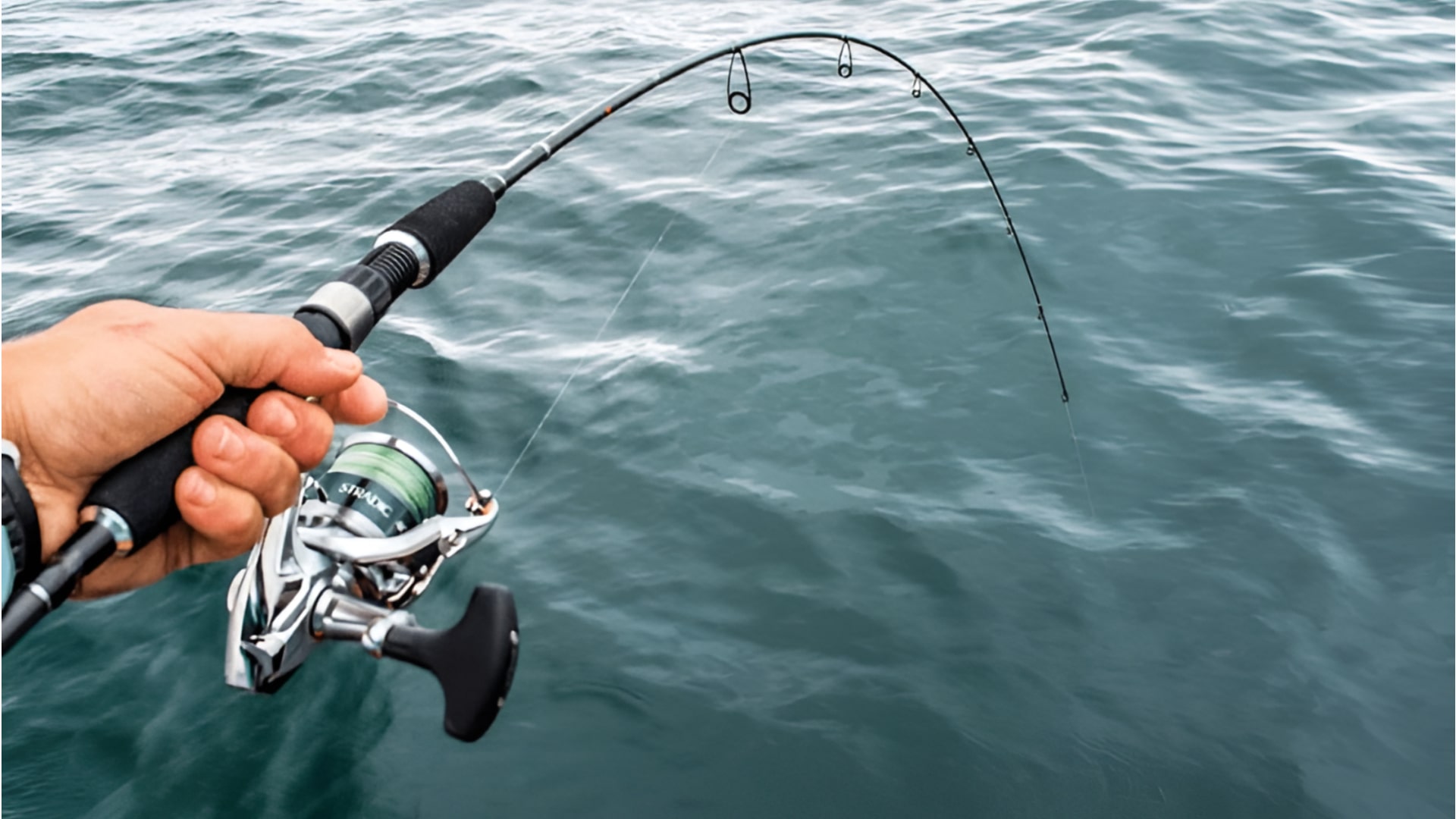 Mua cây và máy câu phù hợp