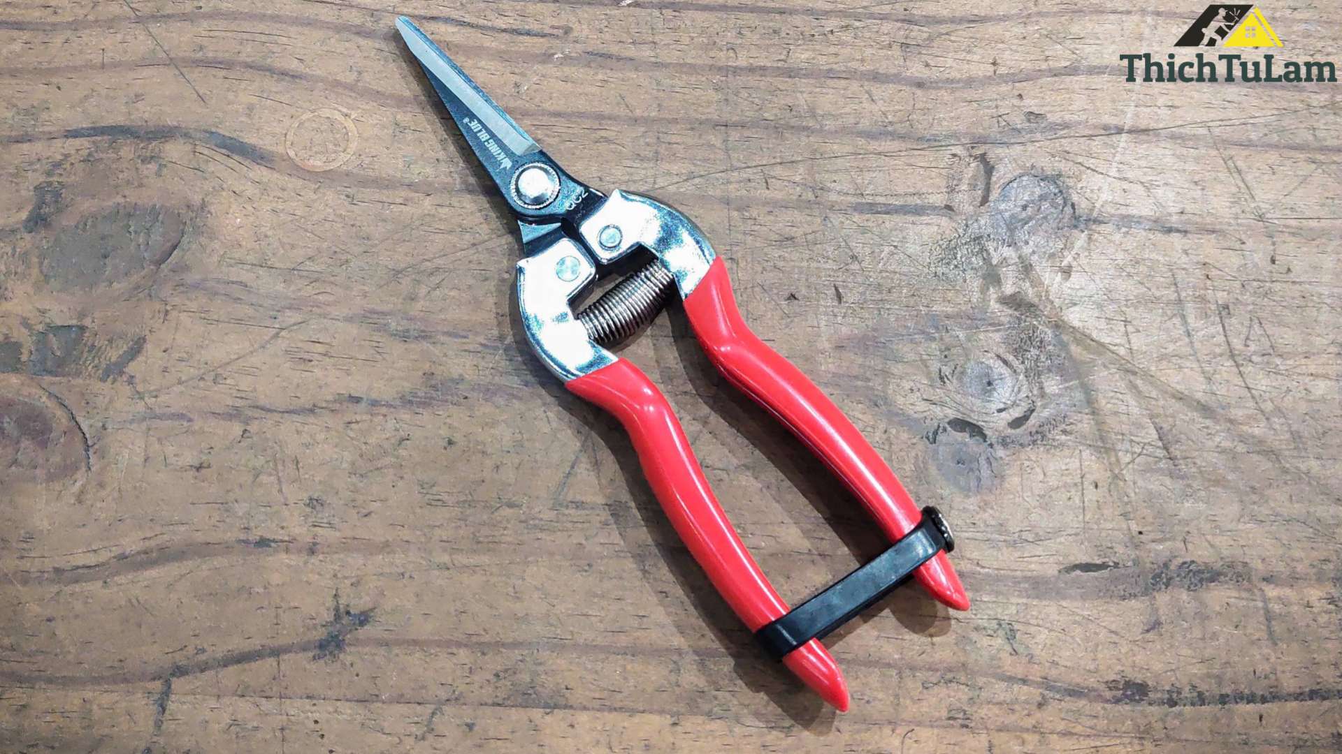 Kéo cắt cành và trái cây Kingblue QC2