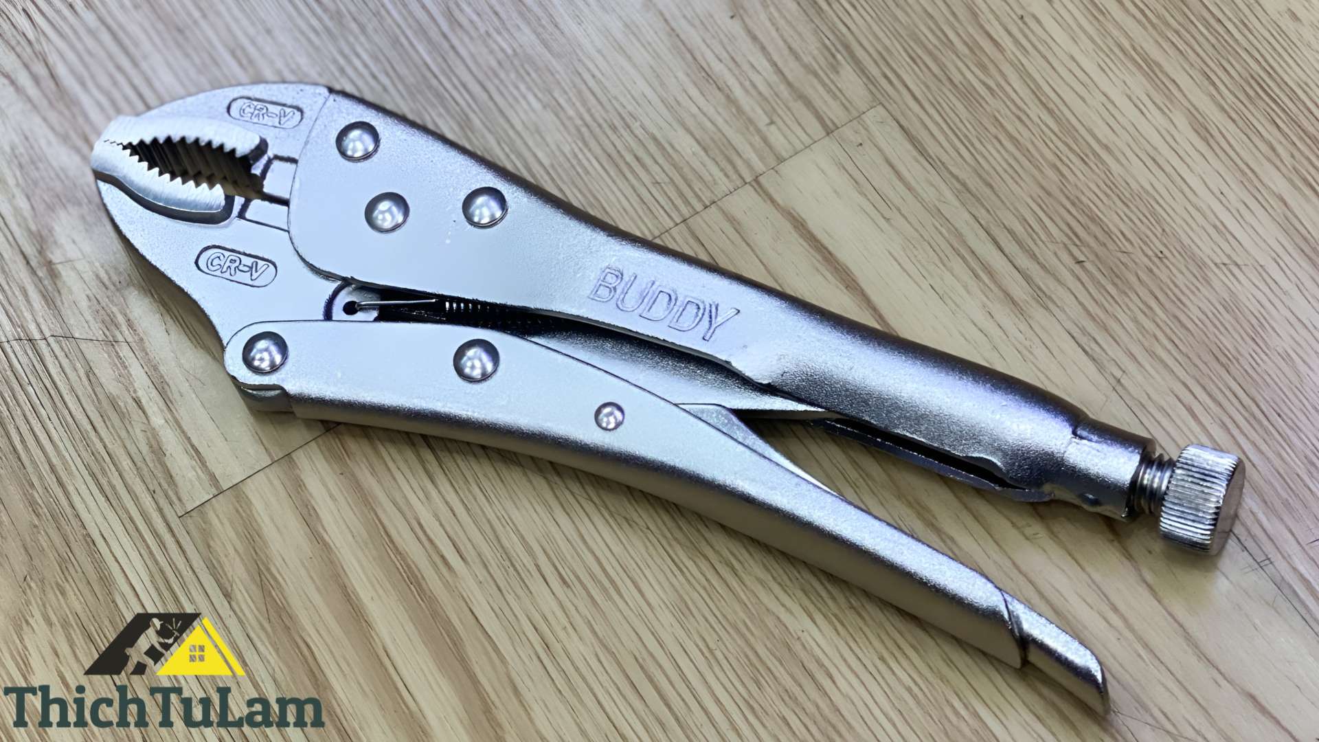 Kìm kẹp chết 10inch Buddy BA0065