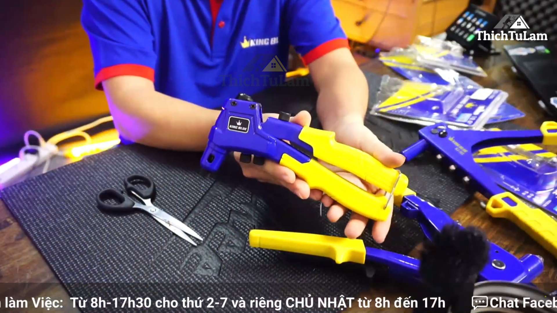 Kìm rút đinh trợ lực Kingblue KJ-104