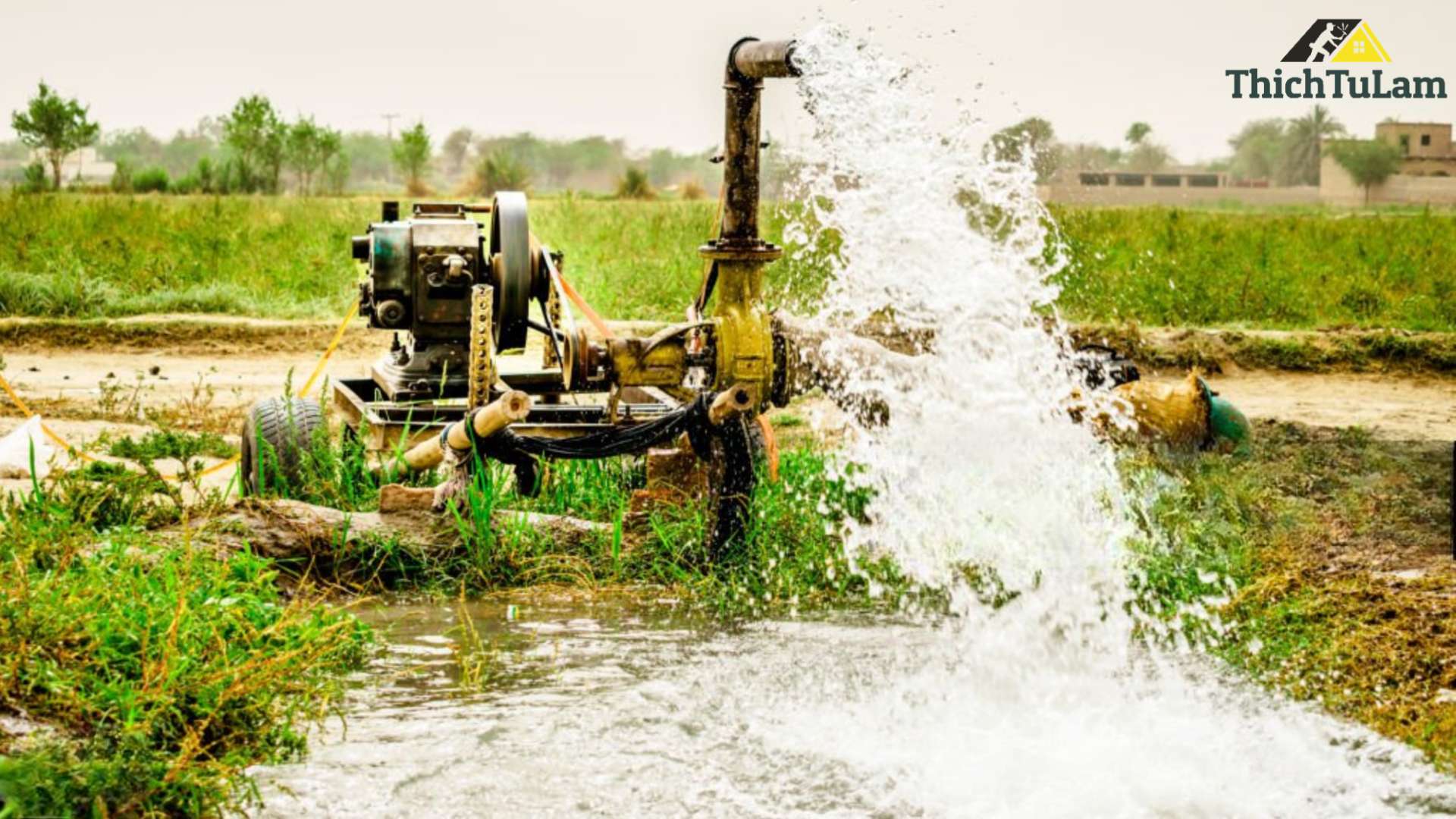 Máy bơm nước nông nghiệp