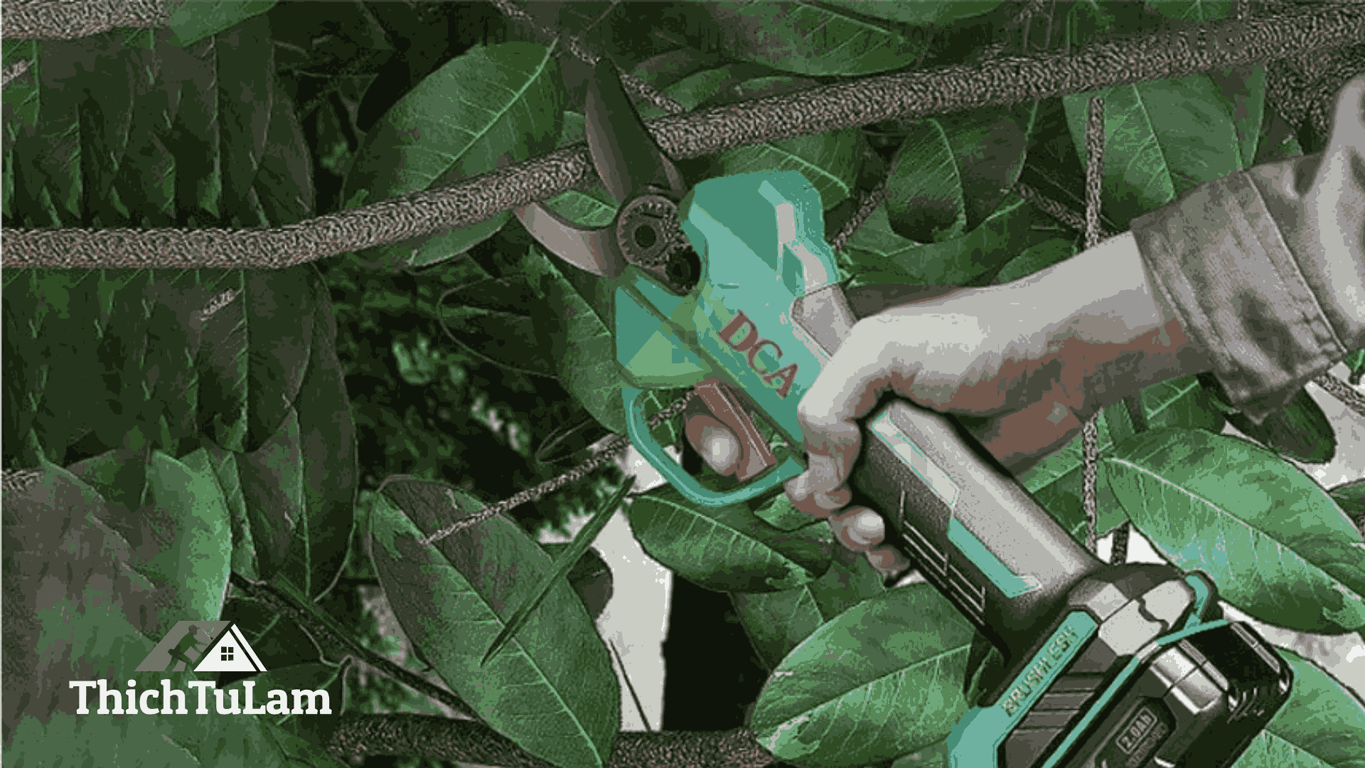 Máy cắt cành DCA