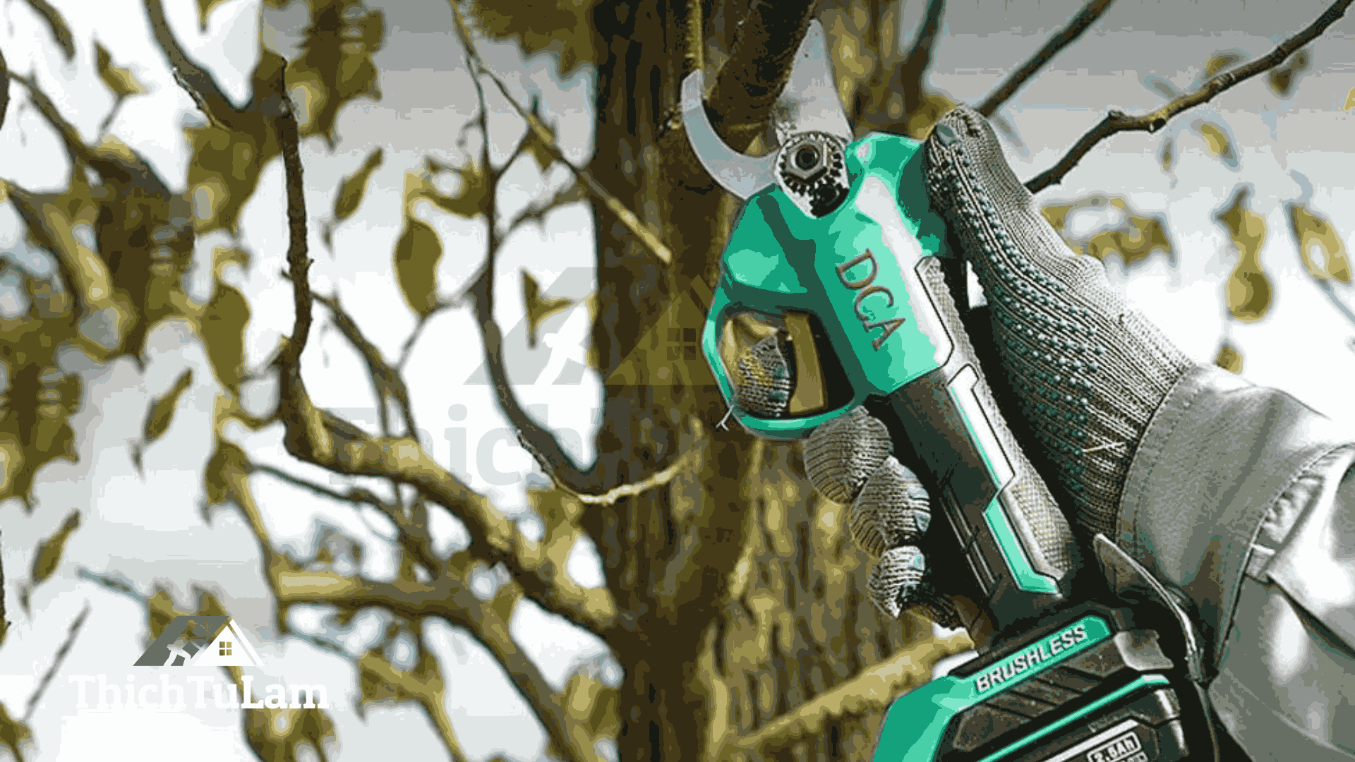 Máy cắt cành DCA