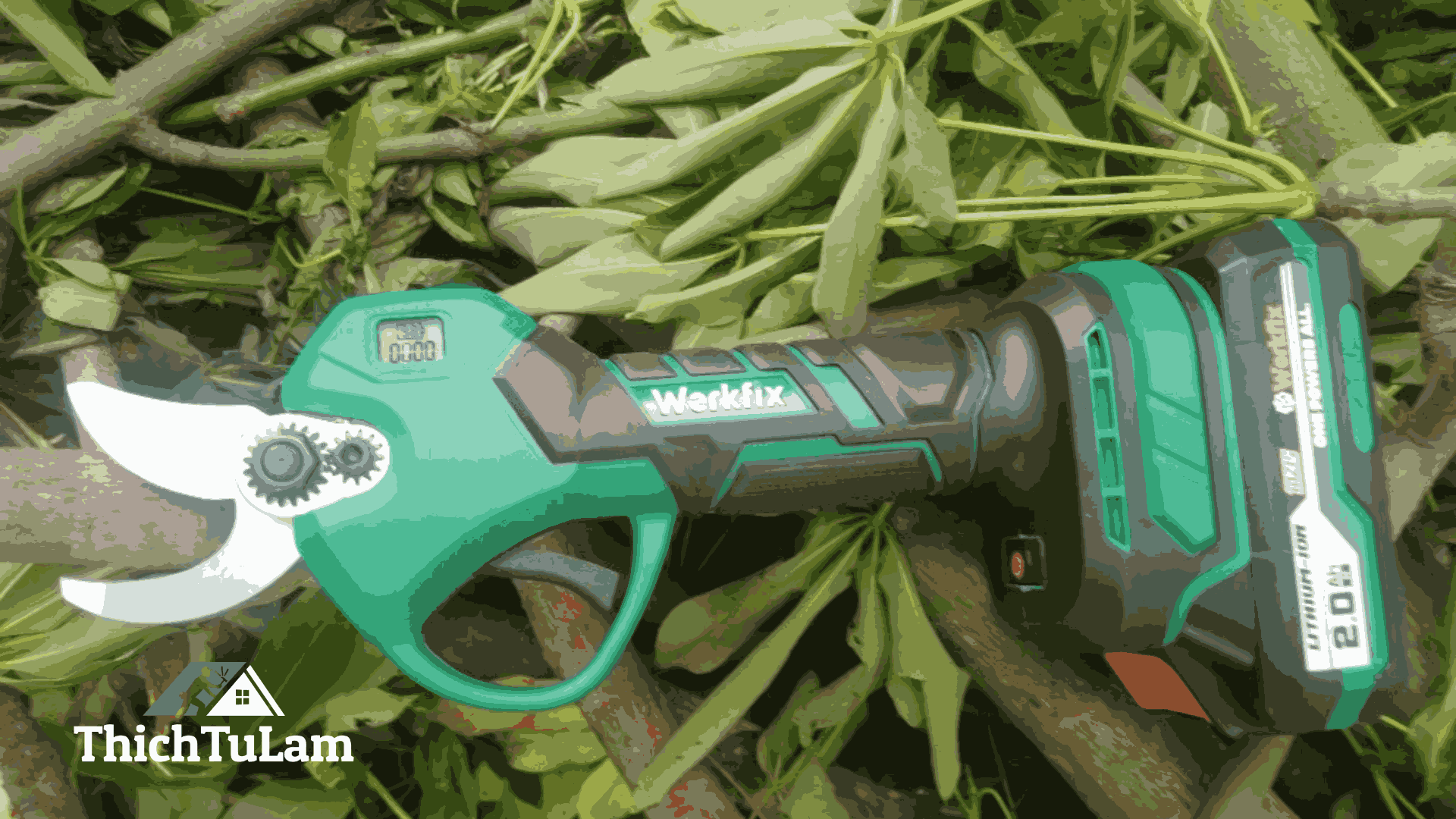 Máy cắt cành DCA