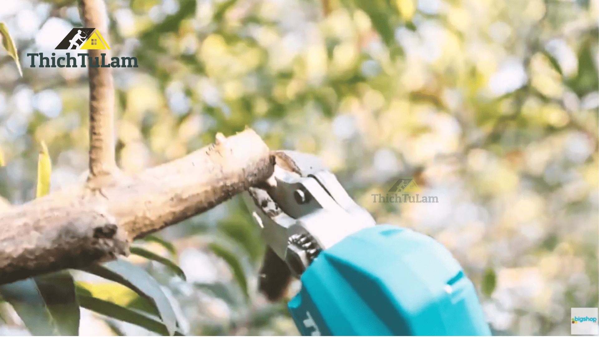 Máy cắt cành Total