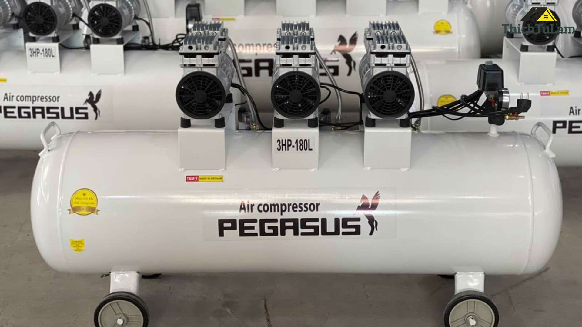 Máy nén khí Pegasus