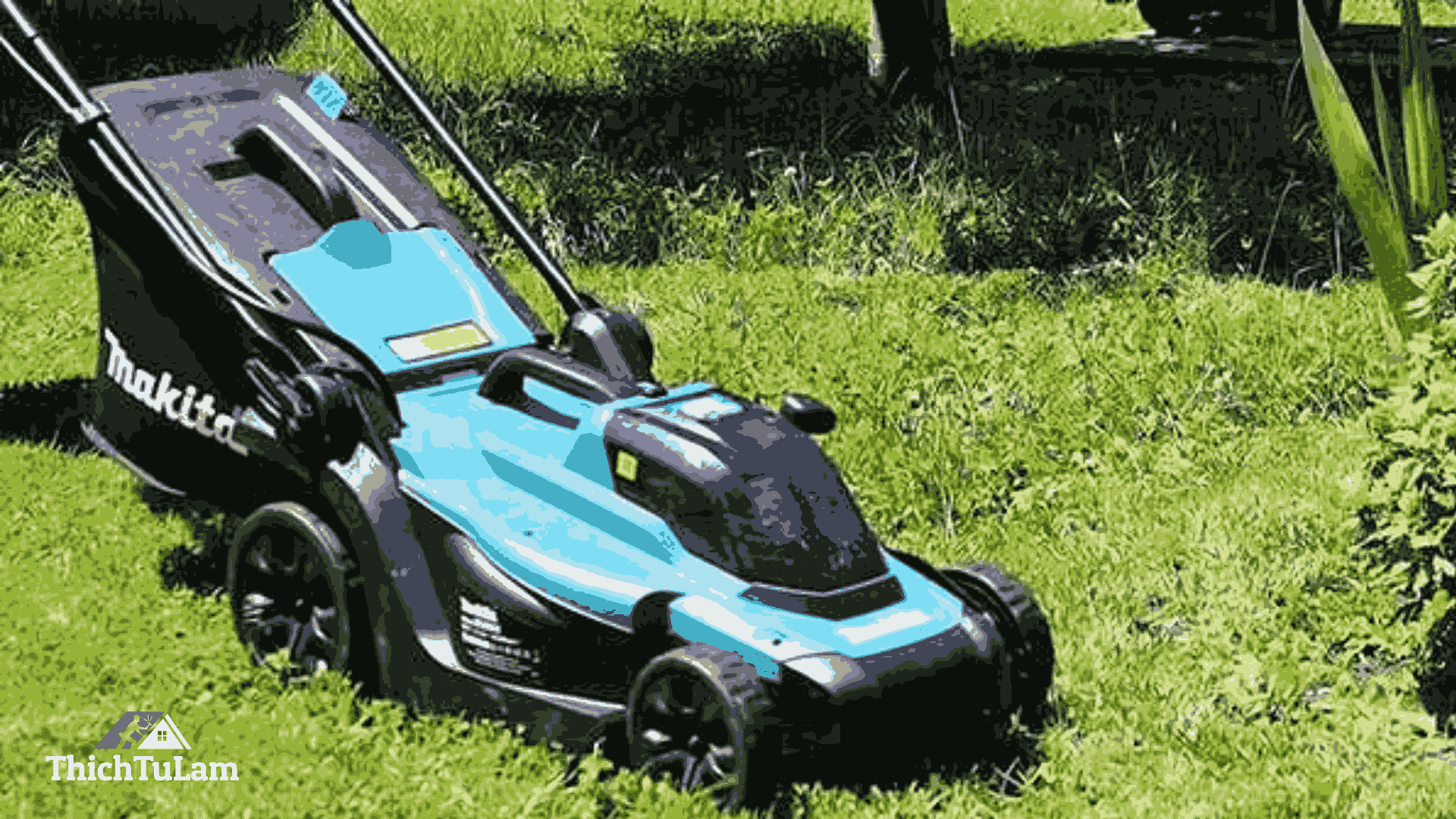 Các loại máy cắt cỏ phổ biến