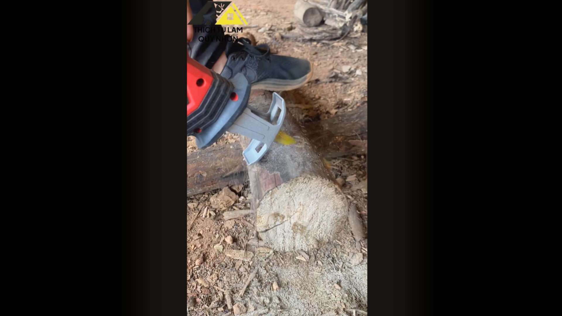 Test Cưa Kiếm Kingblue