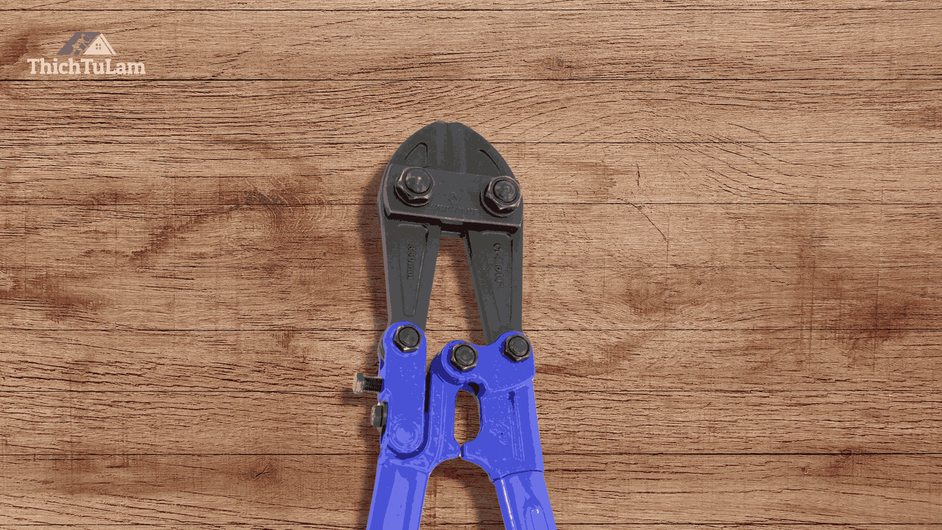 So sánh kìm cắt Kingblue và Buddy