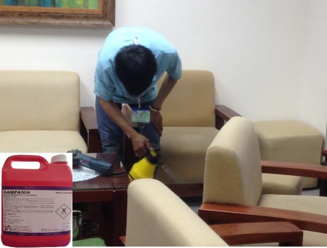 cơ sở giặt ghế sofa chuyên nghiệp giá rẻ tại quận đống đa hà nội.