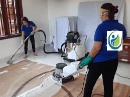 cơ sở giặt thảm văn phòng chuyên nghiệp giá rẻ tại quận cầu giấy hn.jpg