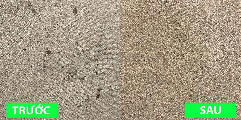 dịch vụ giặt thảm tại hà nội chuyên nghiệp giá rẻ.jpg