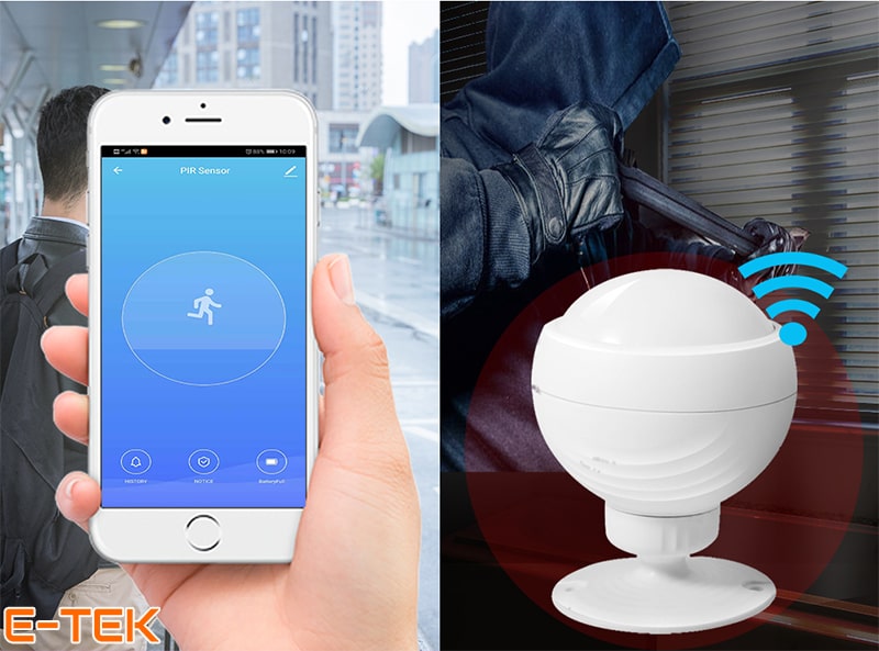 Cám biến báo động hồng ngoại PIR WIFI Tuya cảnh báo điện thoại