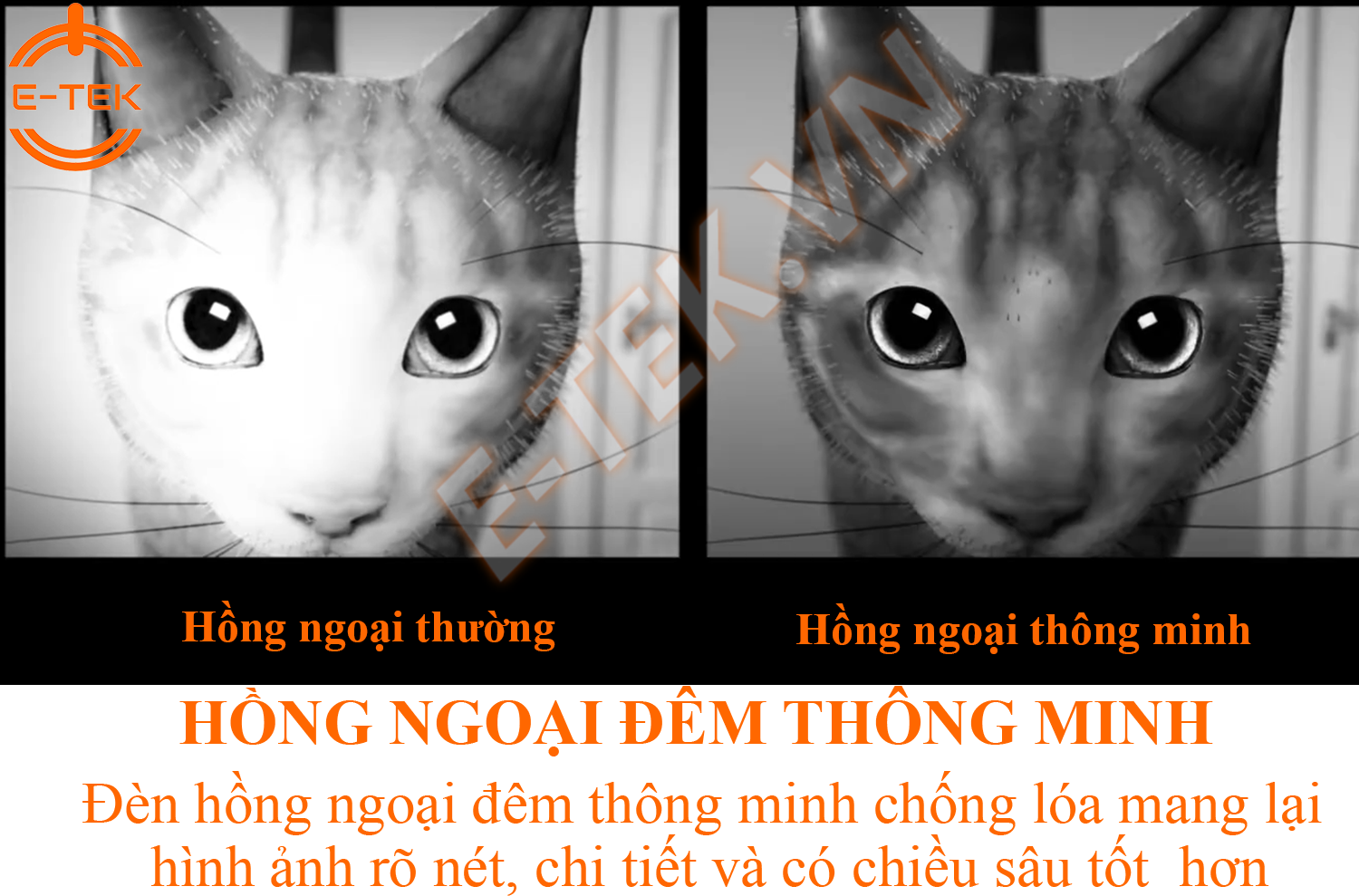 Camera WIFI Ezviz C6N 360 độ hồng ngoại đêm rõ nét.