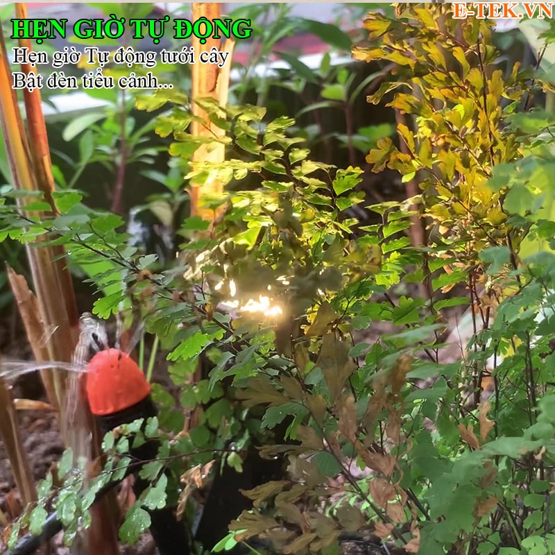 Tự động tưới cây, bật đèn trên công tắc thông minh zigbee tuya viền vàng