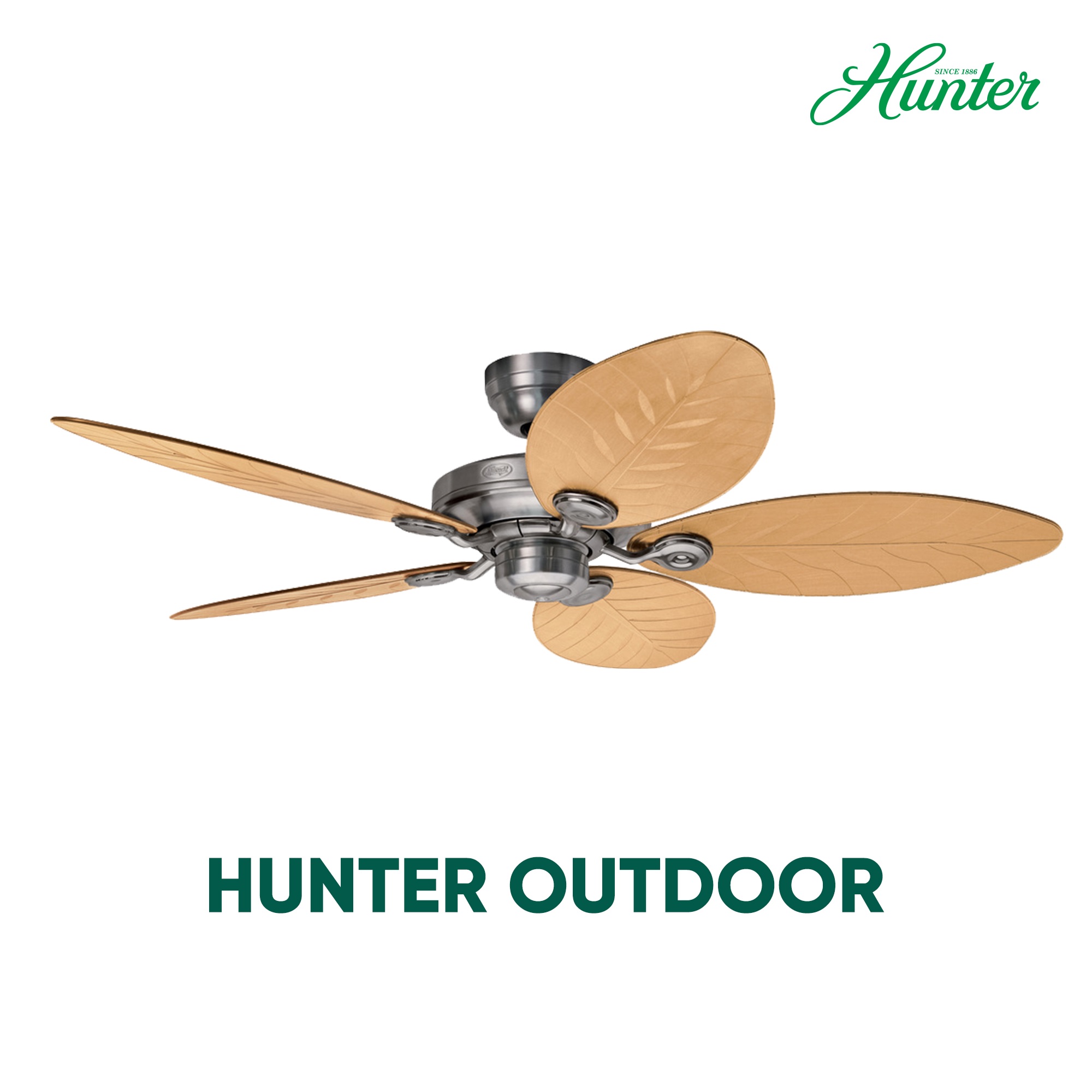 quạt trần ngoài trời Hunter 5 cánh vân lá