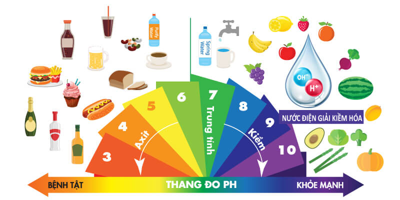 Thang đo độ pH của các thực phẩm sử dụng hằng ngày.