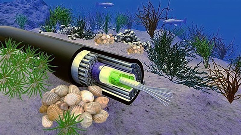 Cáp quang có vai trò chủ yếu là truyền tải internet nhằm mục đích phục vụ cuộc sống con người.