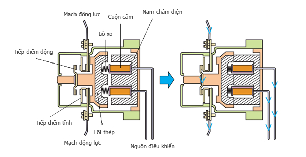 cau-tao-contactor