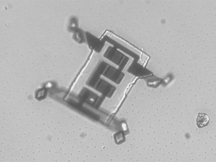 Robot siêu mini và những hứa hẹn cho tương lai