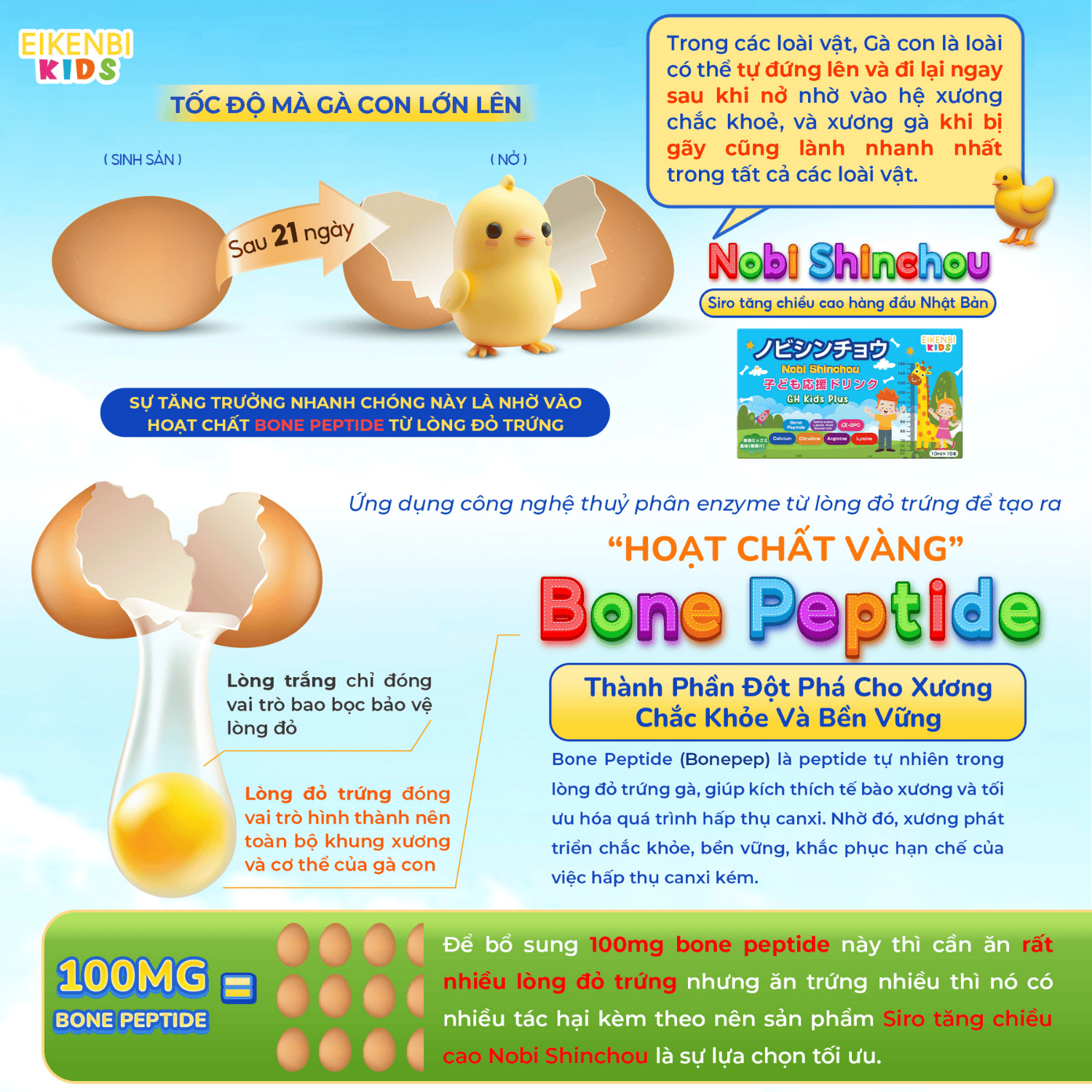 "Hoạt Chất Vàng" Bone Peptide Là Gì?