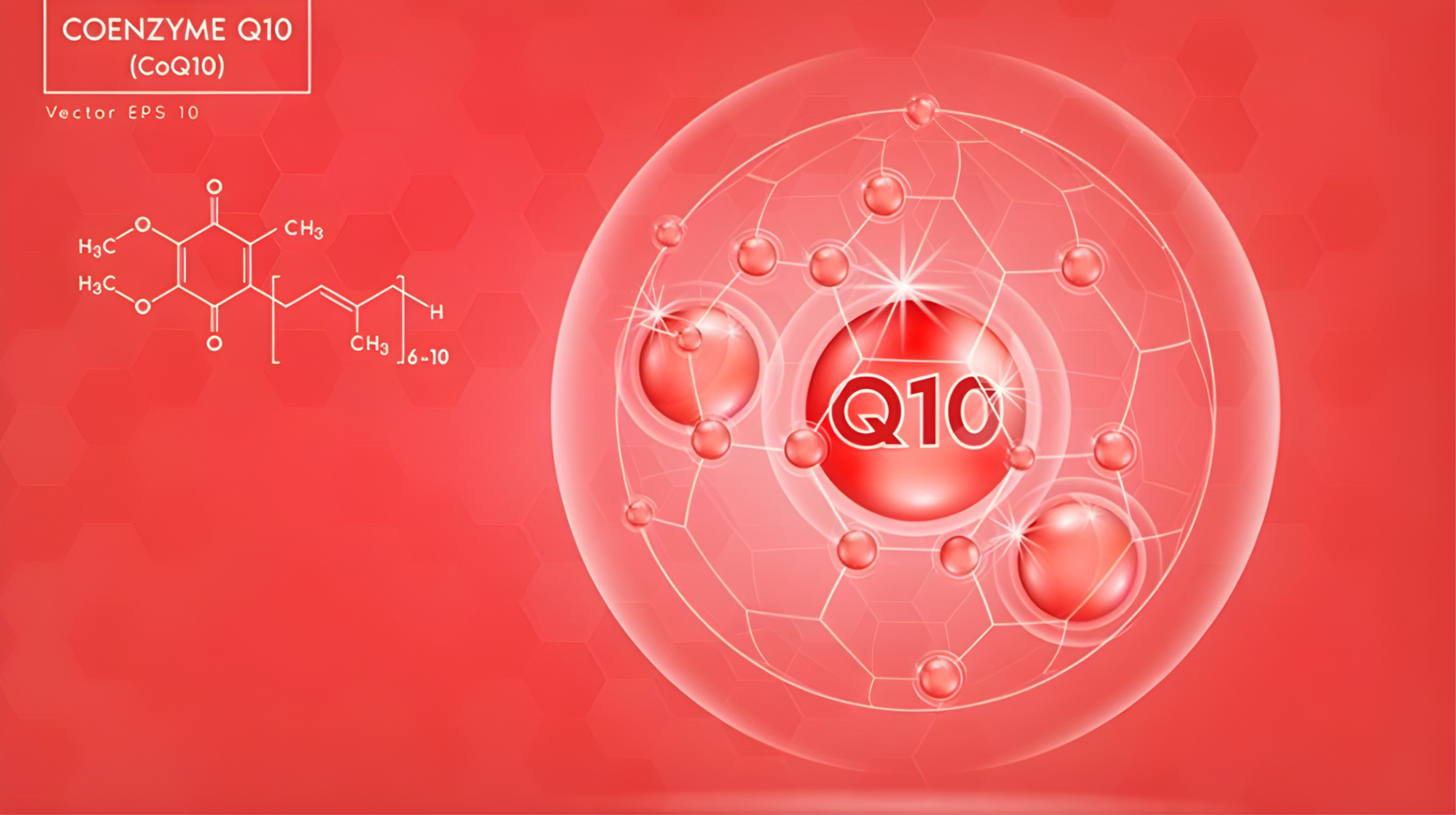 Coenzyme Q10 là gì? Vì sao cơ thể cần Coenzyme Q10 mỗi ngày?