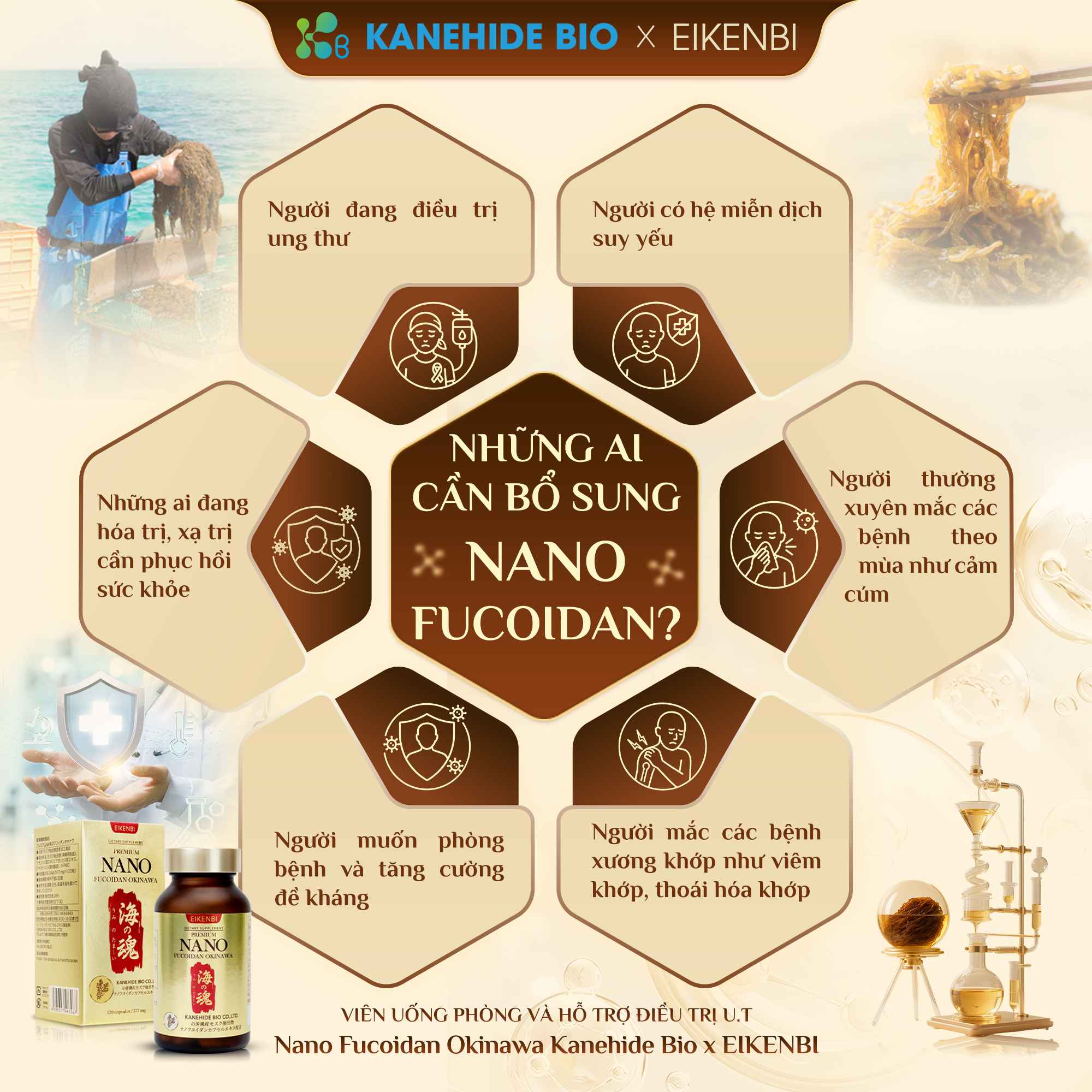 Đối tượng sử dụng viên uống Nano Fucoidan Okinawa Premium Eikenbi