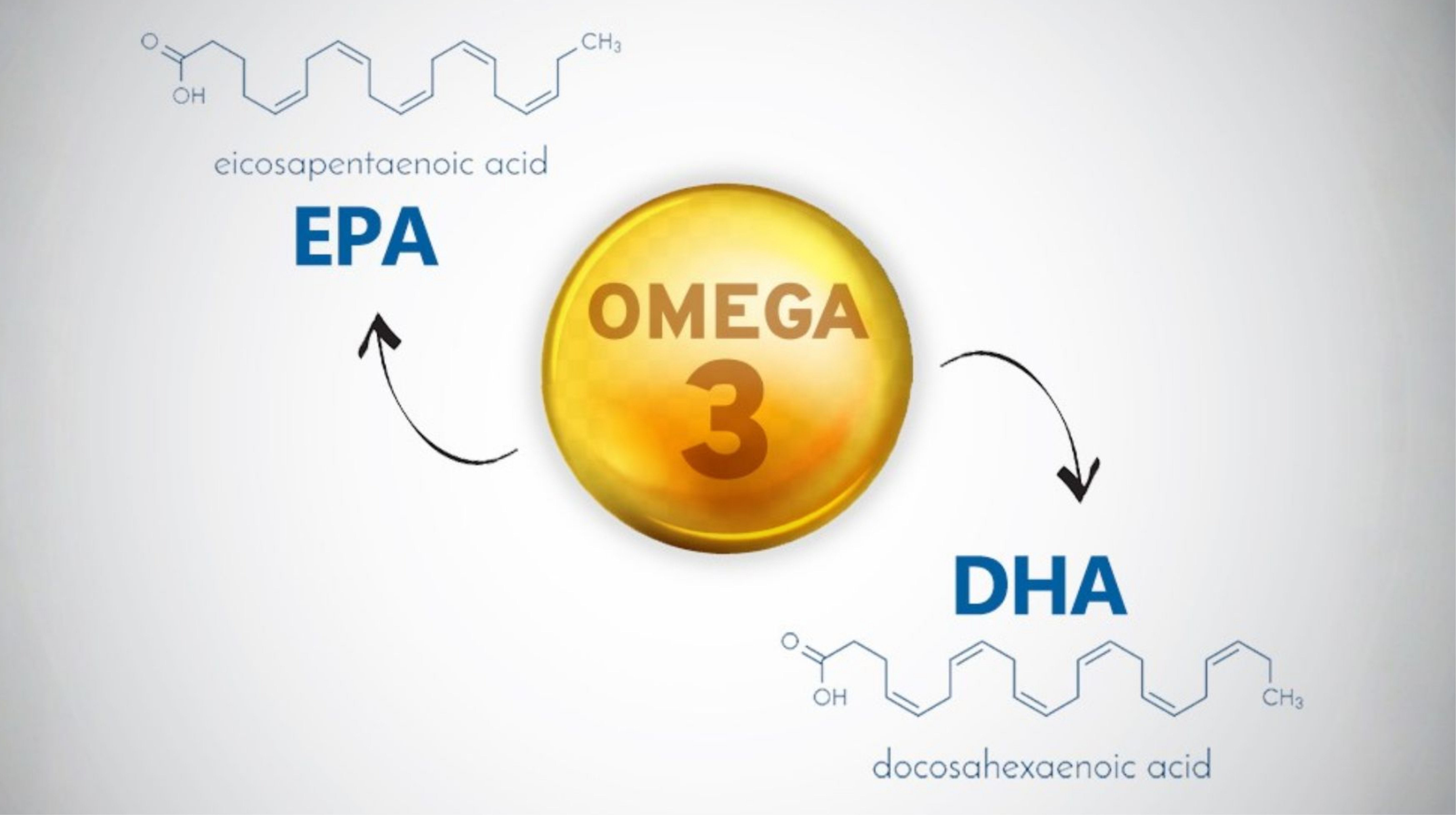 EPA là gì? DHA là gì?