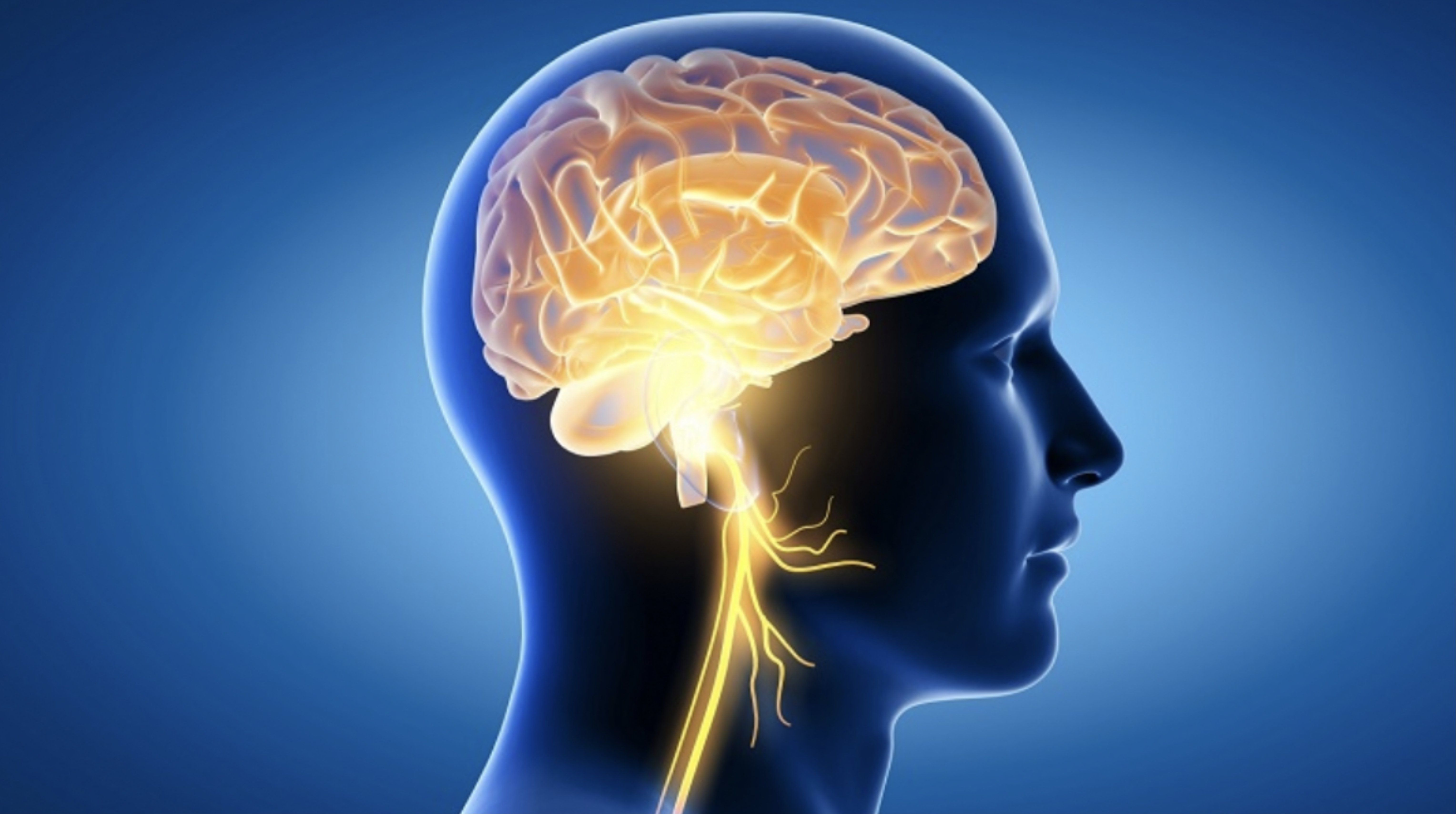 EPA và DHA giúp cải thiện chức năng não bộ