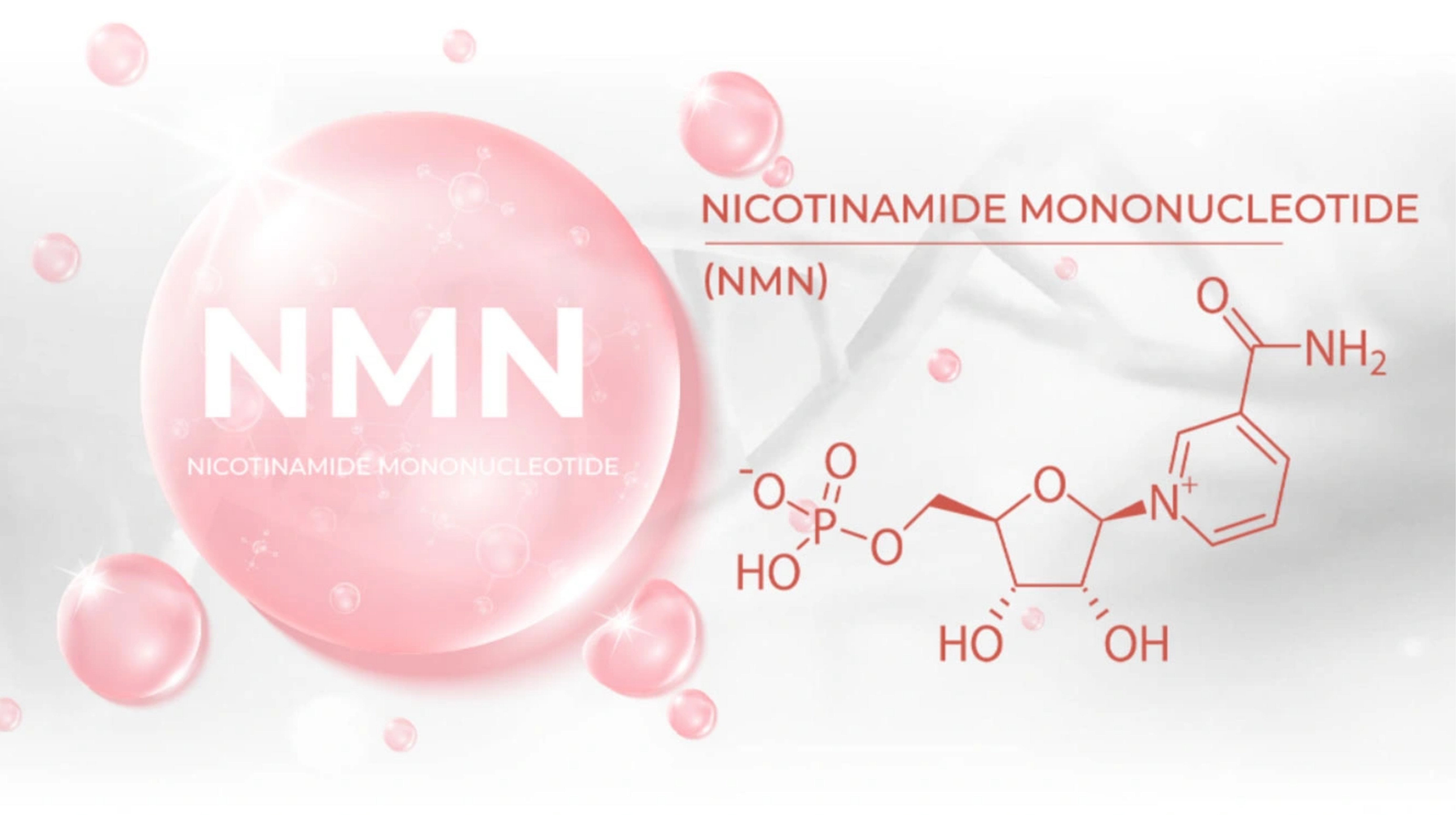 Tìm hiểu NMN là gì?