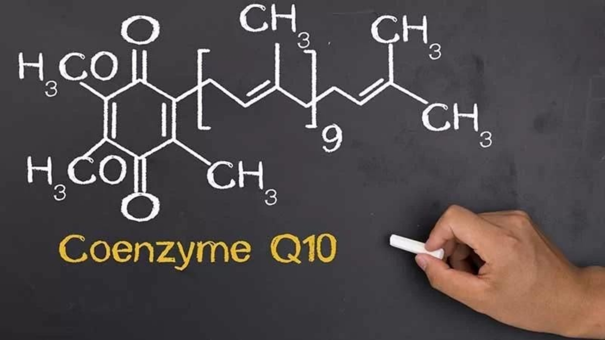 Vì sao nhiều người chọn bổ sung Coenzyme Q10 mỗi ngày?