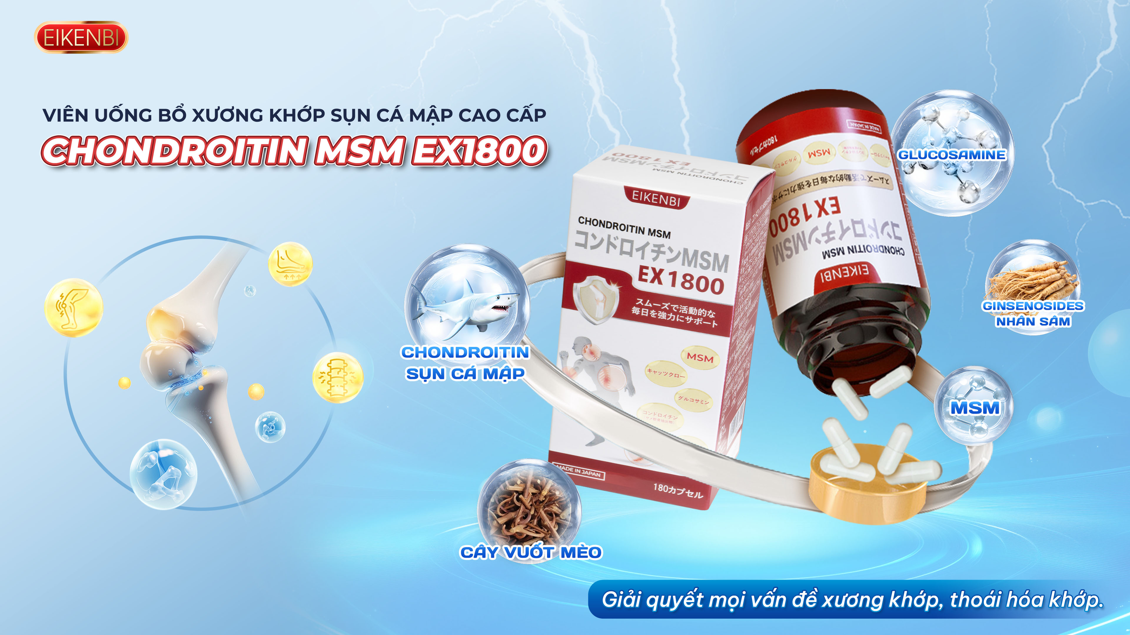 Viên uống bổ xương khớp sụn cá mập cao cấp Chondroitin MSM Ex1800 Eikenbi