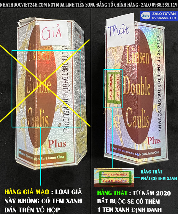 CÁCH PHÂN BIỆT LINH TIÊN SONG ĐẰNG TỐ THẬT GIẢ CHÍNH XÁC TUYỆT ĐỐI 100%