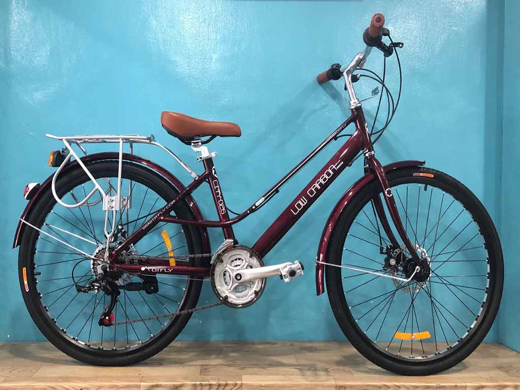 xe đạp the thao người lớn