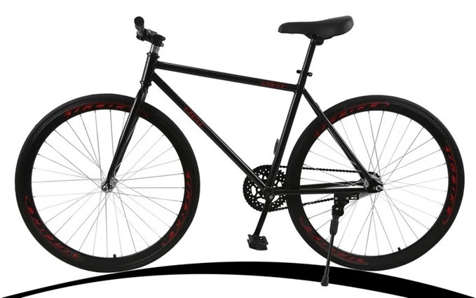 Xe đạp thể thao