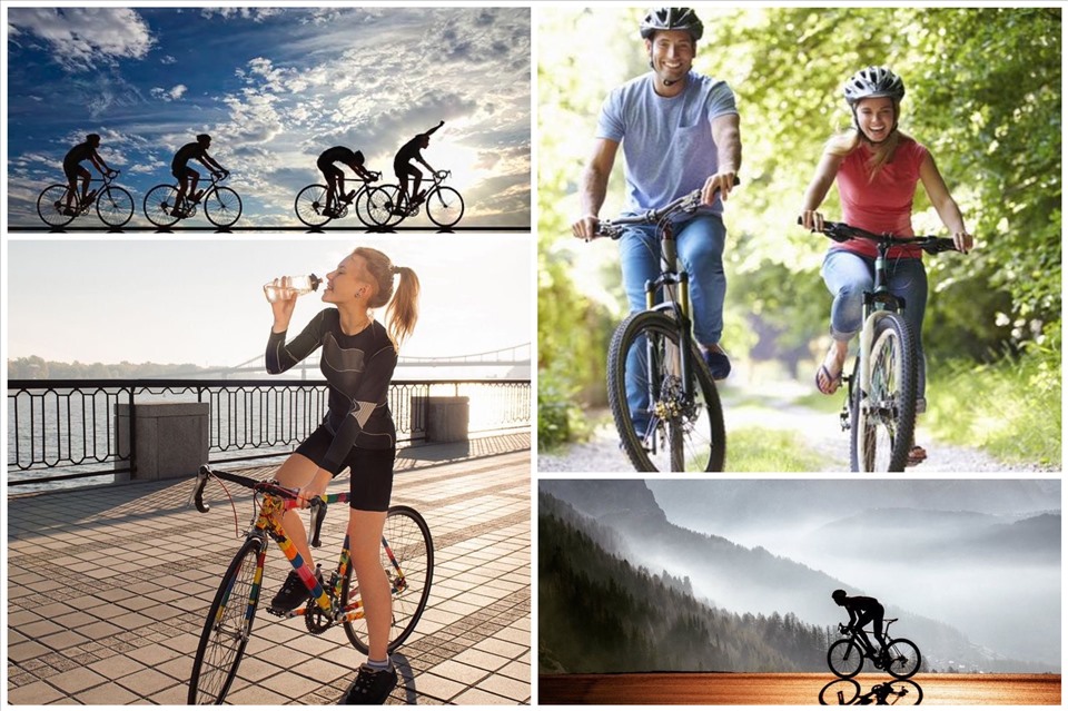 Xe đạp thể thao