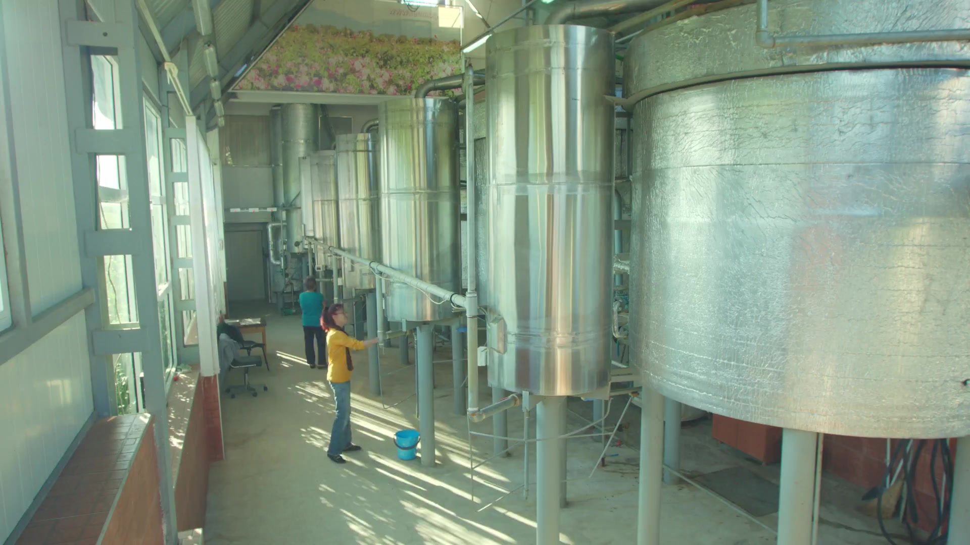 Chưng cất tinh dầu hoa hồng, nước hoa hồng