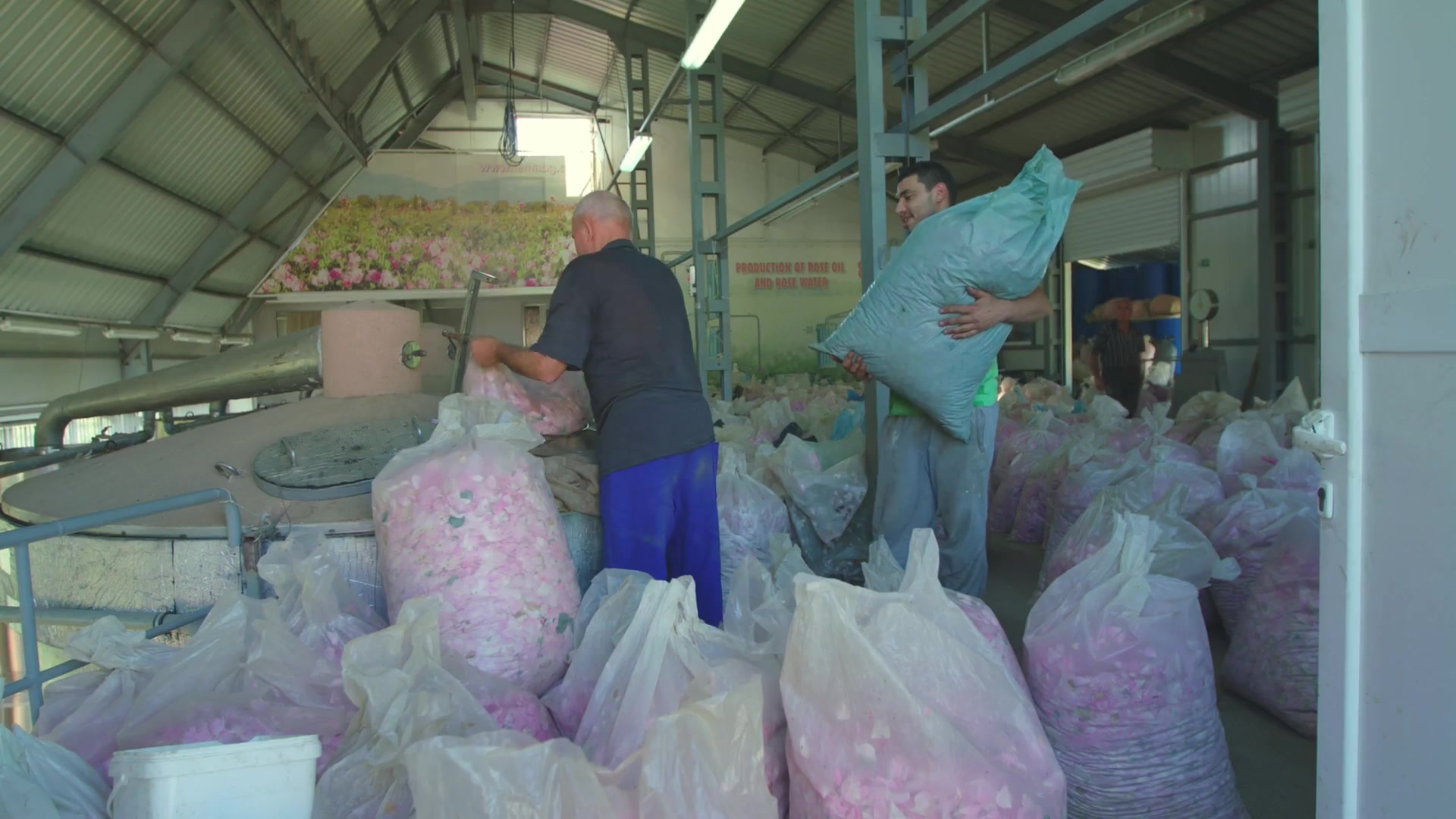 chưng cất tinh dầu hoa hồng, nước hoa hồng